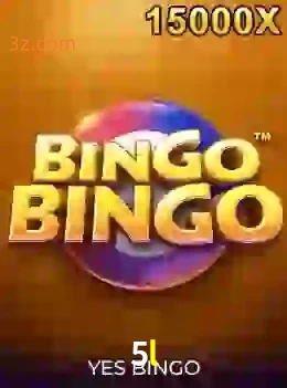 bingobingo